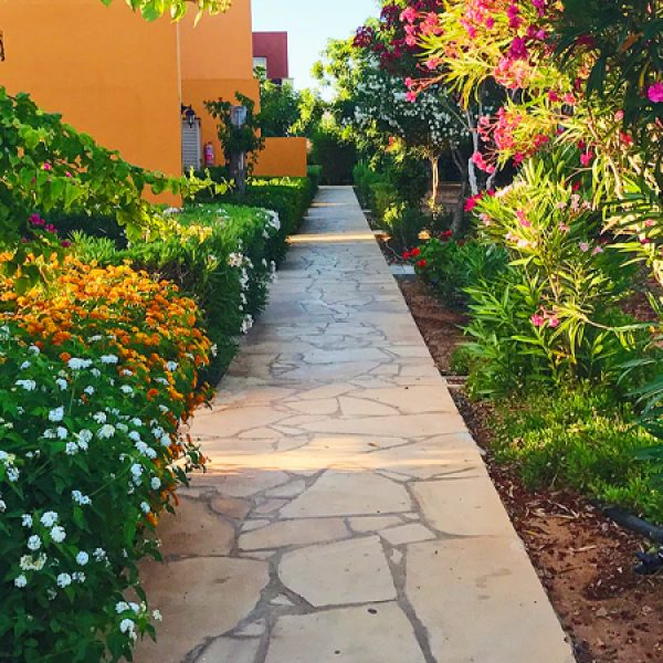 back-garden.jpg back-garden.jpg